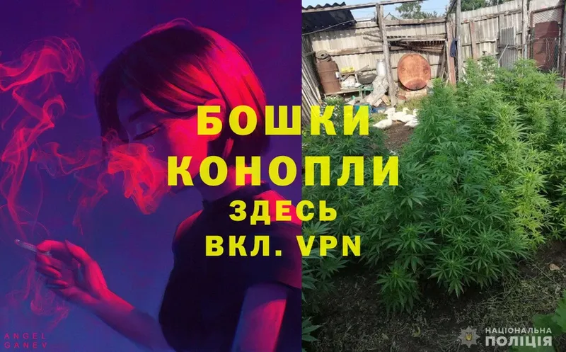 Канабис SATIVA & INDICA  Киржач 